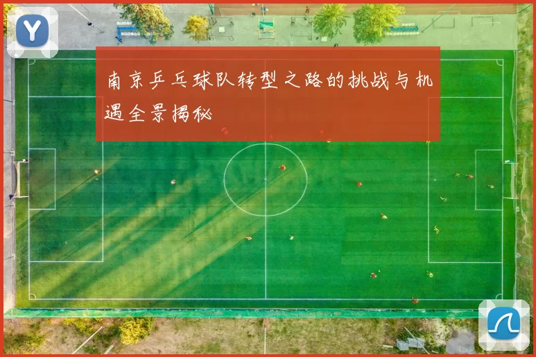 南京乒乓球队转型之路的挑战与机遇全景揭秘