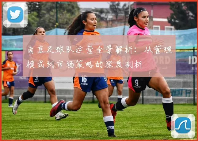 南京足球队运营全景解析：从管理模式到市场策略的深度剖析