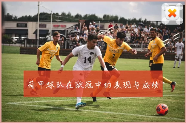 荷甲球队在欧冠中的表现与成绩