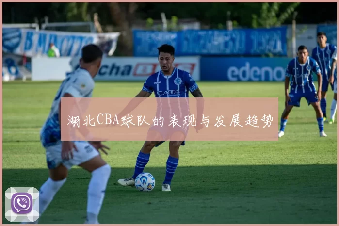 湖北CBA球队的表现与发展趋势