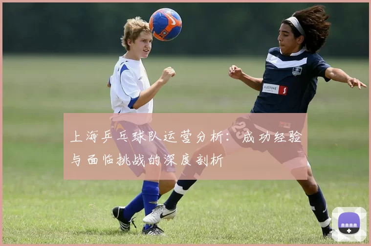上海乒乓球队运营分析：成功经验与面临挑战的深度剖析