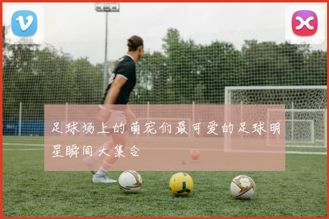 足球场上的萌宠们最可爱的足球明星瞬间大集合