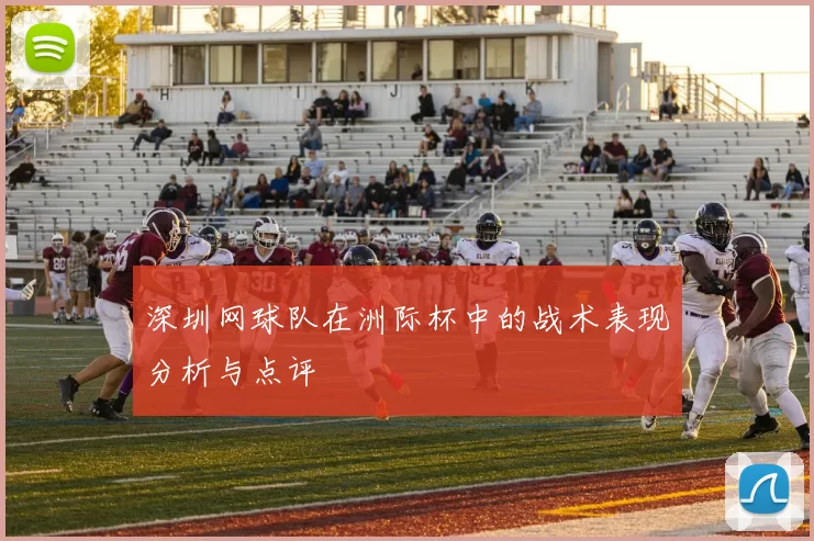 深圳网球队在洲际杯中的战术表现分析与点评