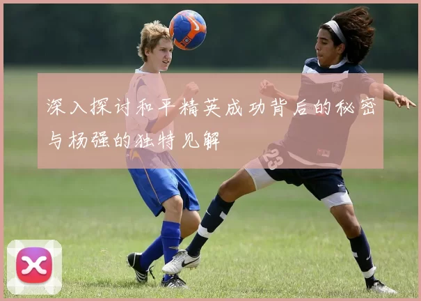 深入探讨和平精英成功背后的秘密与杨强的独特见解